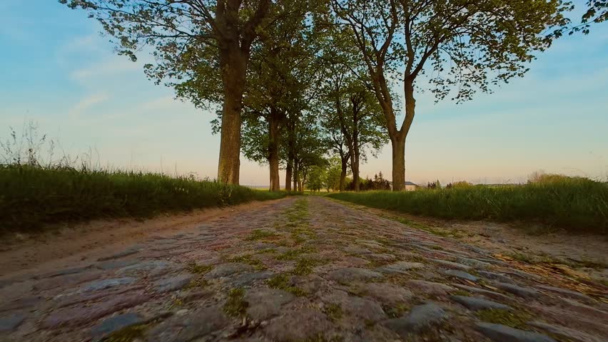 Car point of view driving on cobblestone road at sunset through countryside. Driving along rural stone path in evening light. Country road sunset drive with cobbles under wheels