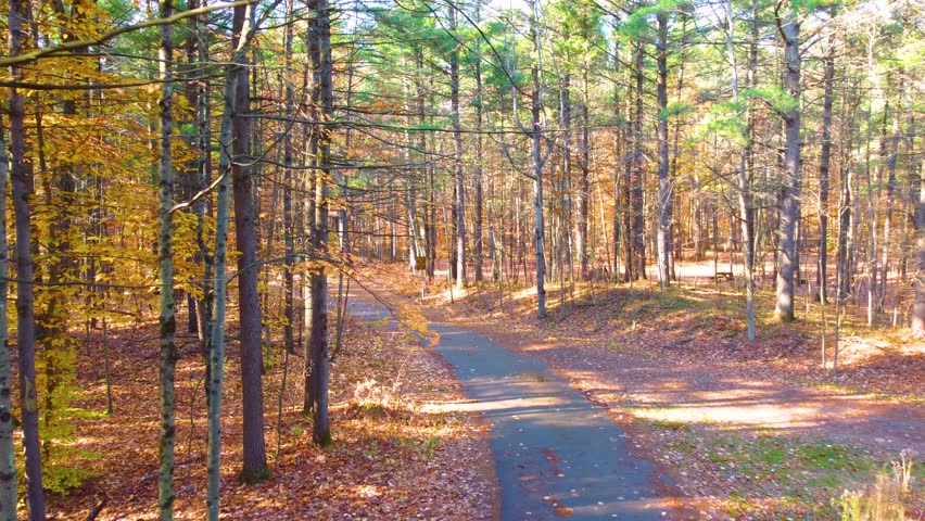Forest pathway on a beautiful autumn day with fall colors and leaves on the forest floor through the canopy of the forest