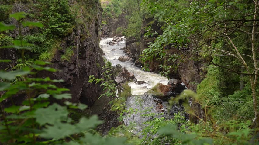 A winding river flows through a rocky canyon surrounded by dense greenery. The gentle sounds of water create a peaceful atmosphere in this idyllic natural setting.
