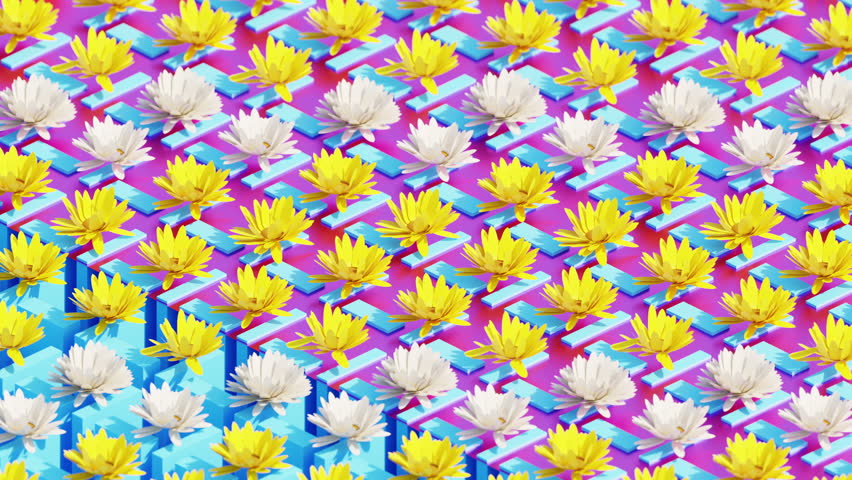 Calendula Or Marigold Blossoms Retro Seamless Pattern, motion footage for pop art films and cinematic in flower scene. Also good background for scene and titles.