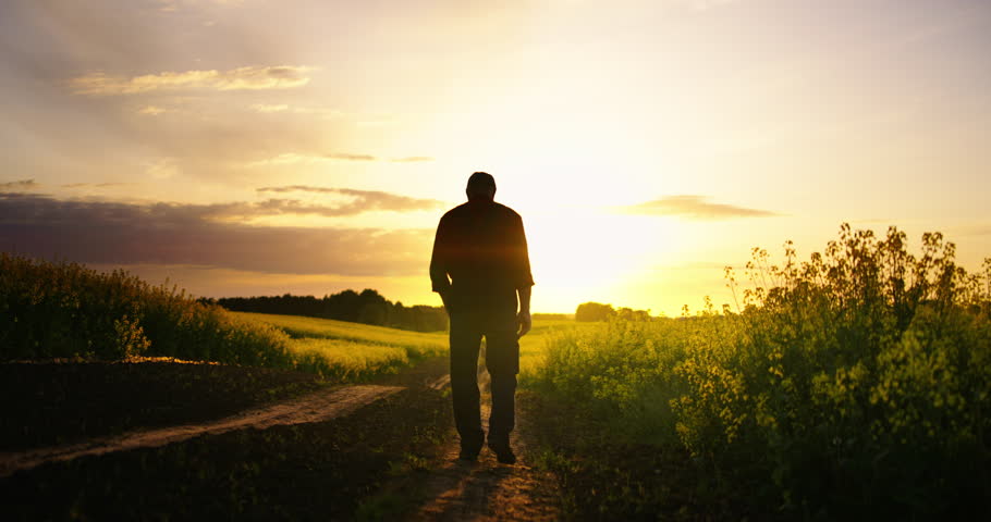 Old Man In Farmland, Cinematic Silhouette Shot Against Sunset Or Sunrise, Back View, Senior Farmer