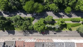 Dynamic overhead drone shot capturing a tree-lined urban street with moving cars weaving between lush green canopies and concrete rooftops - Powered by Shutterstock - Get 15% off with code: PIKWIZARD15