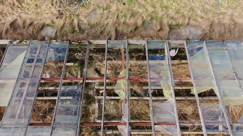Old greenhouse with shattered windows and wild growth seen from above