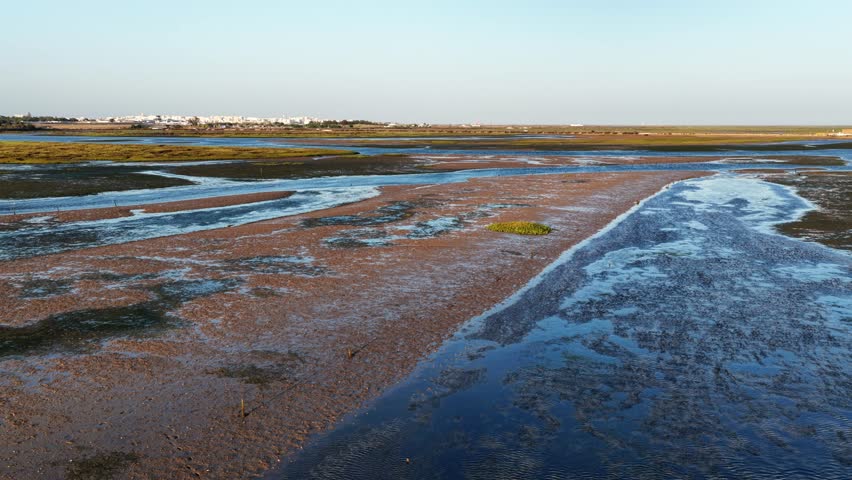 Explore vast wetland landscapes showcasing rich biodiversity and serene water formations near coastal areas at dusk