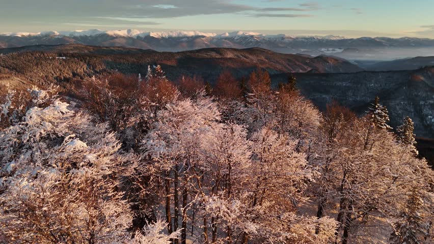 Aerial view of snow covered trees and mountains with warm sunlight creating contrast with the cool snow, Hriňová, Banská Bystrica Region, Slovakia.