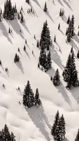 Majestic Aerial View of Snow-Covered Mountains and Evergreen Forests in British Columbia, Canada