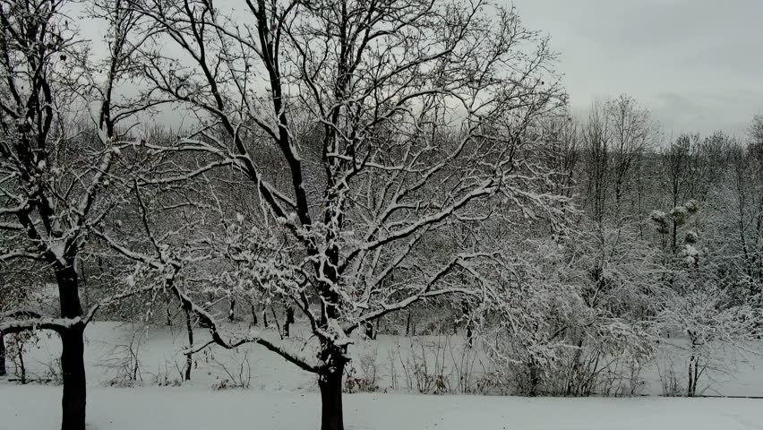 A dramatic winter drone shot from Miskolc, Hungary. The drone ascends slowly from behind a bare tree, revealing the expansive cityscape of Miskolc in the background. The skyline is dominated by old So