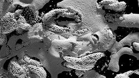 A surreal 3D texture of densely packed particle spheres forming abstract foam-like structures. The image resembles organic formations, generated with intricate digital design in black and white tones - Powered by Shutterstock - Get 15% off with code: PIKWIZARD15