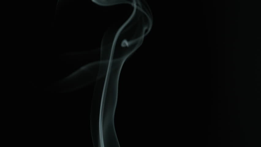 Closeup delicate smoke stream swirling on black isolated background. Dim studio holding silence. Thin curls rising up filling empty space. Incense sticks. Abstract shapes. Spiritual practice concept