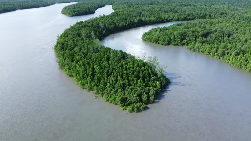 Amazon Forest In Manaus Amazonas Brazil. Amazon Rainforest Showing River Winding Dense Jungle. Travel Trees Wilderness Jungle. Wilderness Amazon Rainy Season. Manaus Amazonas.