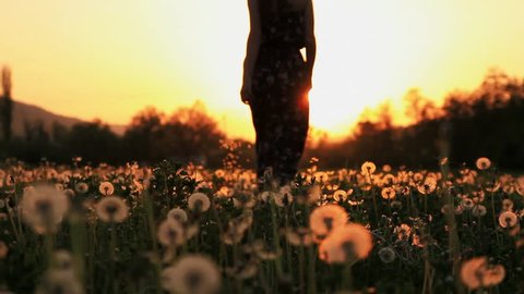 Beautiful Female Model in a Pink Dress Passing Throug Dandelion Field at Sunset
