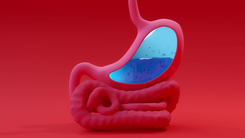 Stomach acid or reflux disease. Animation Seamless looping of Digestive System. Can be used in background elements related to medical or education. Minimal idea concept, 3D Render.