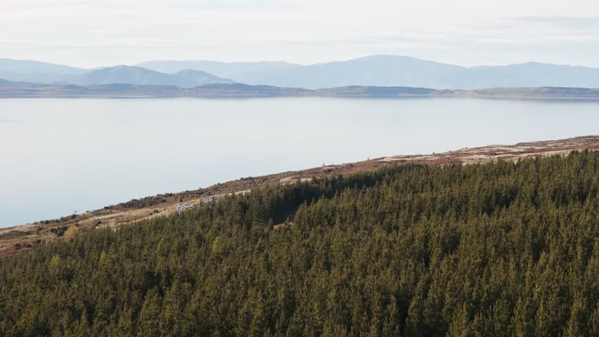 Wide aerial flight above dense conifer forest on a clear winter morning, with Lake Pukaki and distant mountain silhouettes in the background