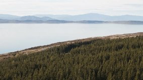 Wide aerial flight above dense conifer forest on a clear winter morning, with Lake Pukaki and distant mountain silhouettes in the background - Powered by Shutterstock - Get 15% off with code: PIKWIZARD15