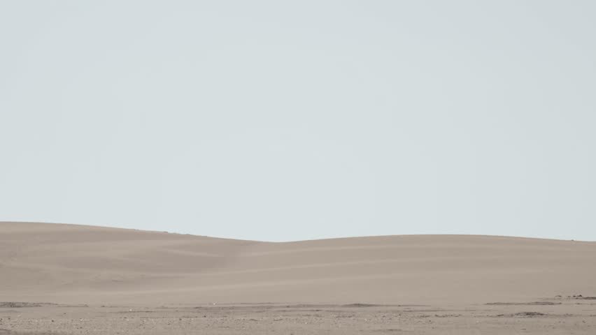 A robed figure struggles across a vast sand dune, then falls to their knees in exhaustion. Post-apocalyptic, sci-fi, or fantasy concept of despair, struggle, and survival.