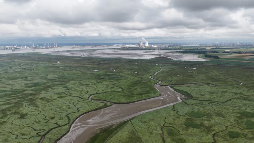Vast salt marshes, gullies, and mudflats. Zeeland