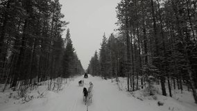 POV dog sledding in Finland Rovaniemi during winter 2025 - Powered by Shutterstock - Get 15% off with code: PIKWIZARD15