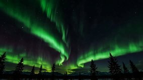 Vibrant green and purple aurora borealis streams across a starry night sky above a snowy forest and distant mountain range, creating a dramatic and awe-inspiring natural scene. 4k - Powered by Shutterstock - Get 15% off with code: PIKWIZARD15