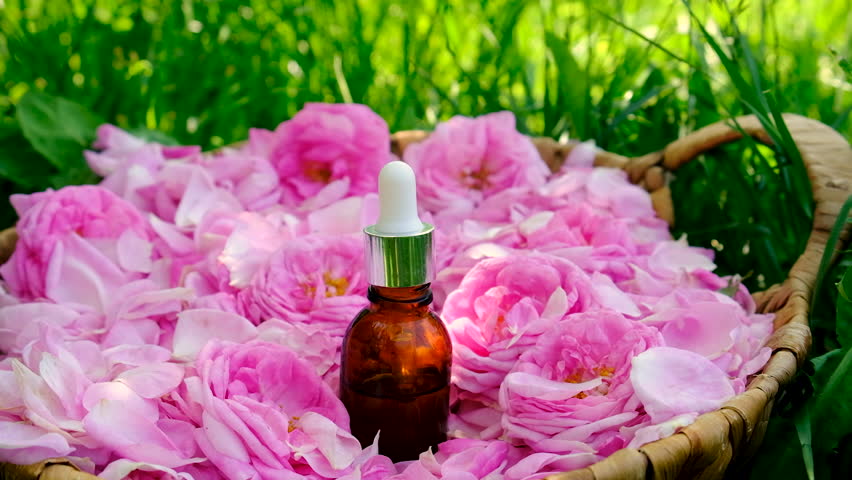 Rose essential oil in a bottle. Selective focus.