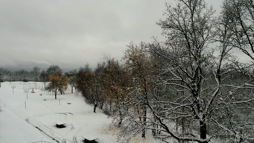 A cinematic 4K drone shot slowly rising from behind snow-covered trees in a quiet park, revealing the sprawling winter cityscape of Miskolc, Hungary. The frame remains steady, with the drone ascending