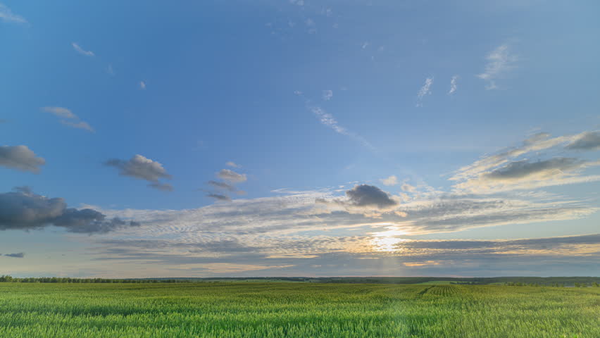 A Serene and Picturesque Landscape Featuring Expansive Green Fields Under a Bright Blue Sky
