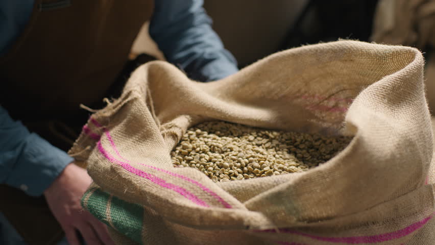Caucasian expert coffee factory worker smell raw beans inspect aroma analyzing grain quality man small business owner male hands arm scoop espresso roasting caffeine production manufacturing warehouse