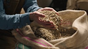 Caucasian expert coffee factory worker smell raw beans inspect aroma analyzing grain quality man small business owner male hands arm scoop espresso roasting caffeine production manufacturing warehouse - Powered by Shutterstock - Get 15% off with code: PIKWIZARD15