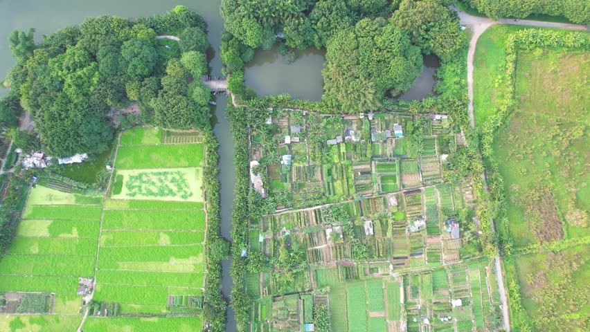 Scenery of Haizhu Lake Park in Guangzhou, China