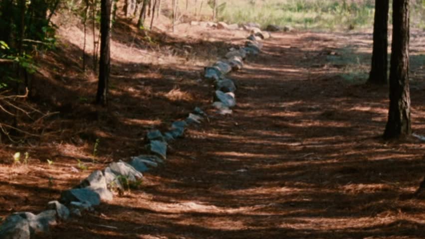 Path in the woods, Walking Pathway