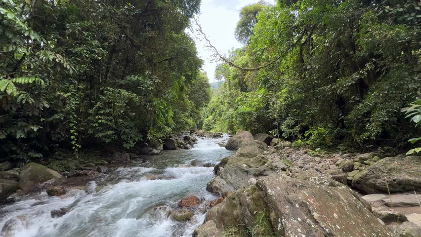 Water moves rhythmically over smooth pebbles in a remote forest stream. Recorded with a stationary camera for authentic and minimalistic nature experience.