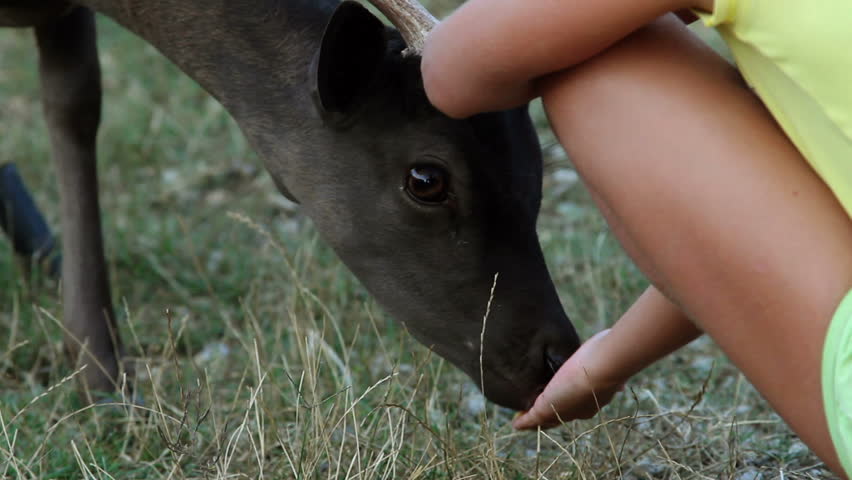Small girl is caressing and feeding a deer