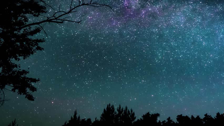 Mesmerizing starry night sky unveiling milky way galaxy, casting ethereal glow across shadowy forest landscape, revealing magnificent celestial beauty embracing wilderness darkness