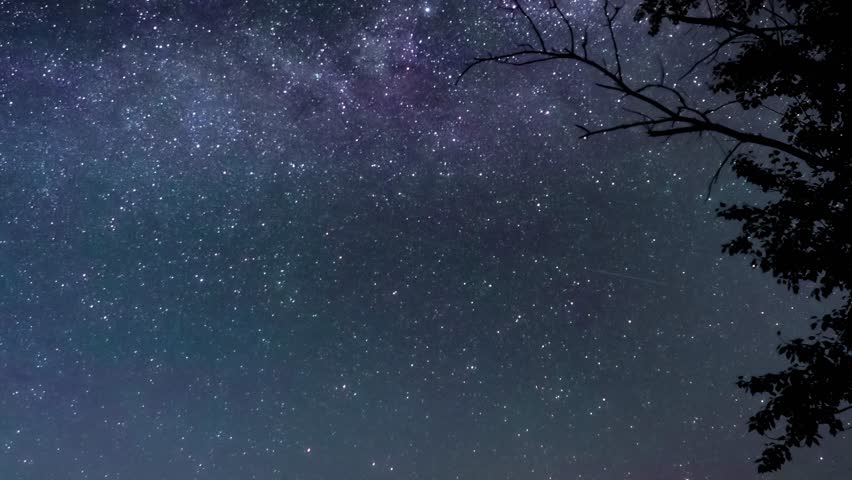 Majestic night sky revealing milky way galaxy core glowing above dark tree silhouette, generating mesmerizing natural contrast with celestial brilliance illuminating wilderness landscape