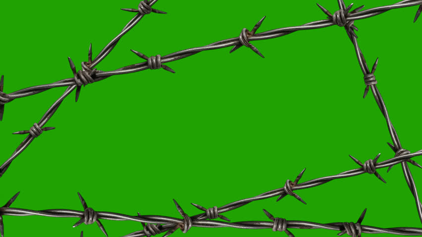 video of barbed wire or barbed wire fence