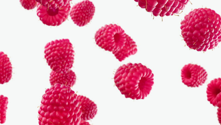 Shutterstock Video