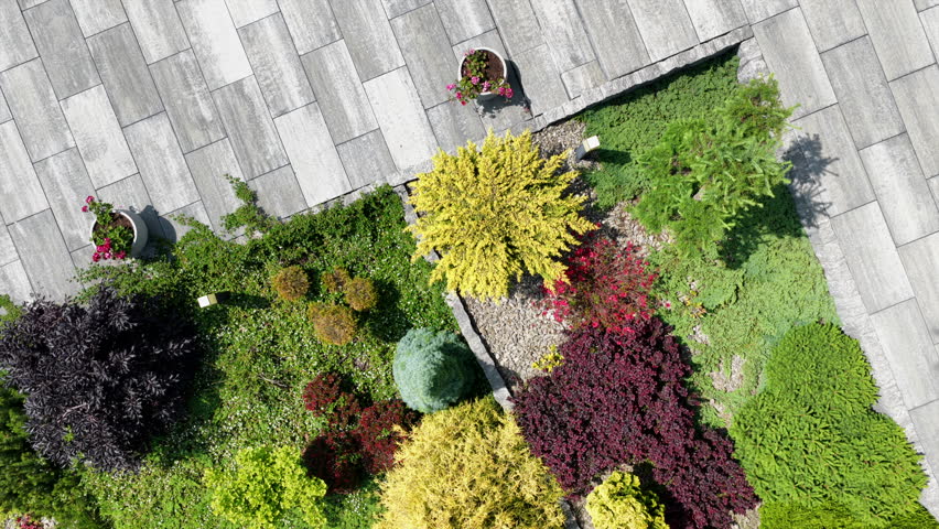 A vibrant garden featuring a variety of plants, stones, and textures during daylight. The layout showcases the colorful foliage and meticulous design.