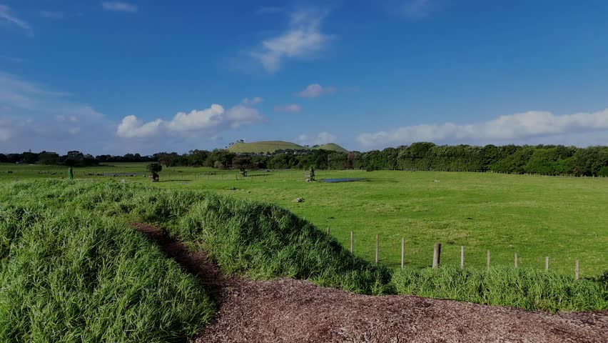 Aerial shot of green grass field in New Zealand nearby blue ocean and under sunny sky.