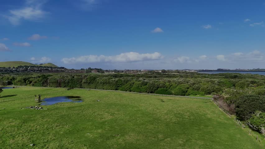 Aerial shot of green grass field in New Zealand nearby blue ocean and under sunny sky.