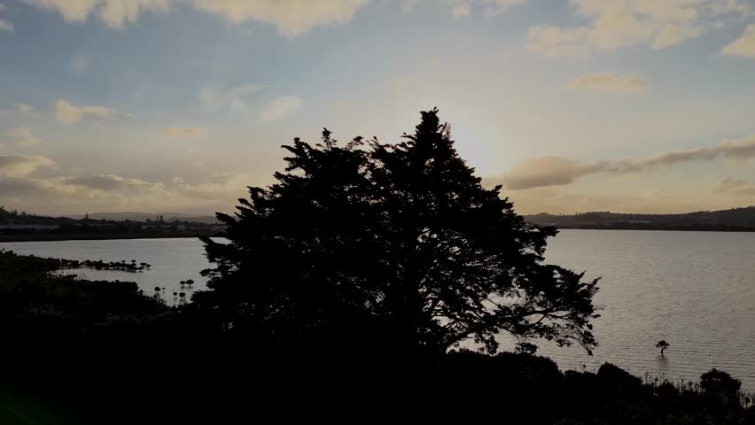 Aerial shot of a tree and park nearby the ocean  at sunset time in Auckland, New Zealand.