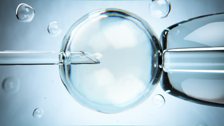 In vitro fertilization or artificial insemination procedure. 3D Illustration