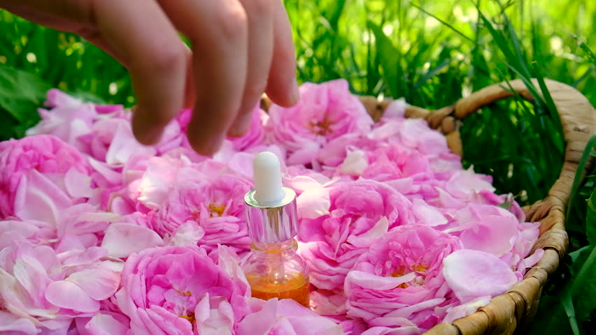 Rose essential oil in a bottle. Selective focus.