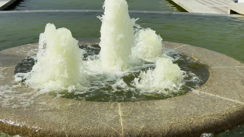 Shutterstock Video