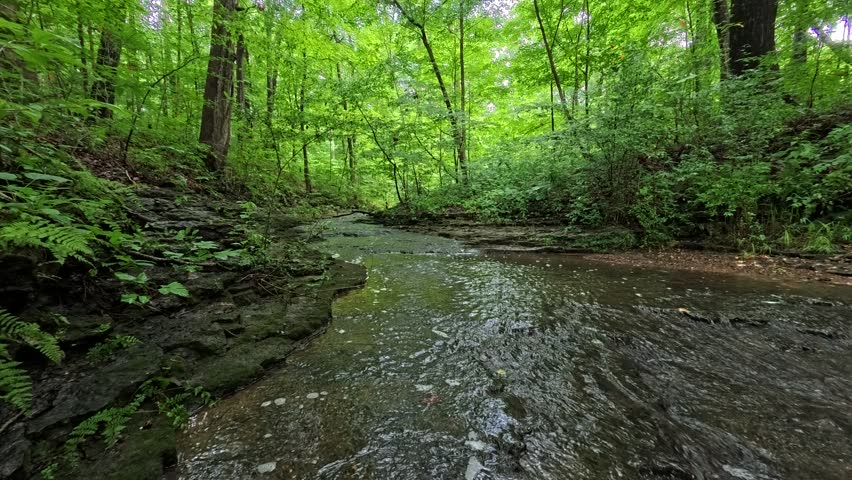 The atmosphere of flowing water in a natural forest in America