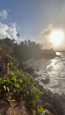Golden sunlight bathes the tropical coastline of Parque Nacional Balneario Cerro Gordo. Lush greenery, dramatic cliffs, and ocean waves meet in this peaceful moment.