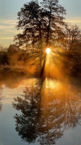  incredibly beautiful morning on the shore of a small pond. grass in hoarfrost, late autumn, warm rays of the sun through the branches of trees, haze over the water. November