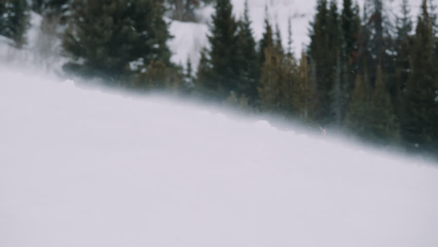 Winter Snow Drift at Forest Edge Wyoming