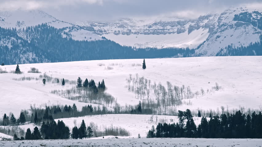 Winter Hills and Sparse Forest Wyoming