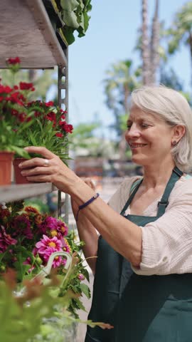 Florist arranging red flowers on shelf in slow motion