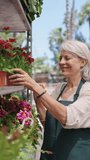 Florist arranging red flowers on shelf in slow motion - Powered by Shutterstock - Get 15% off with code: PIKWIZARD15
