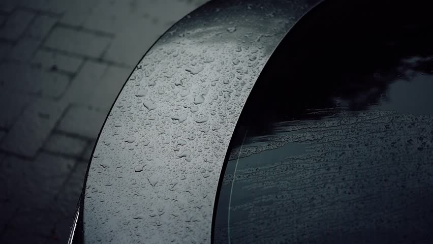 Water beads on car surface after ceramic detailing.